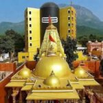 જૂનાગઢ : ભવનાથ તળેટીમાં બમ બમ ભોલેના નાદ સાથે પાંચ દિવસીય મેળાનો મંગલ પ્રારંભ