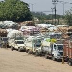 Gondal Marketing Yardમાં ઘઉંની ઐતિહાસિક આવક, અઢી લાખ ગુણી પહોંચતા યાર્ડ ભરાયો